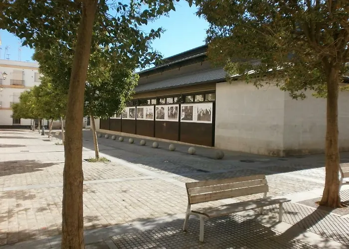 Casa En Plaza De La Merced_centro Flamenco_cadiz